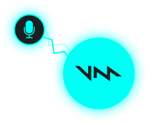Install Voicemod